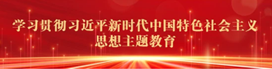 学习贯彻习近平新时代中国特色社会主义思想主题教育
