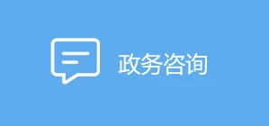 政务咨询