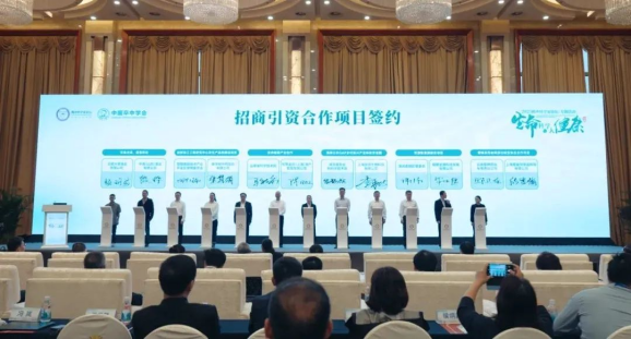 双招双引显实效科创联盟启新程